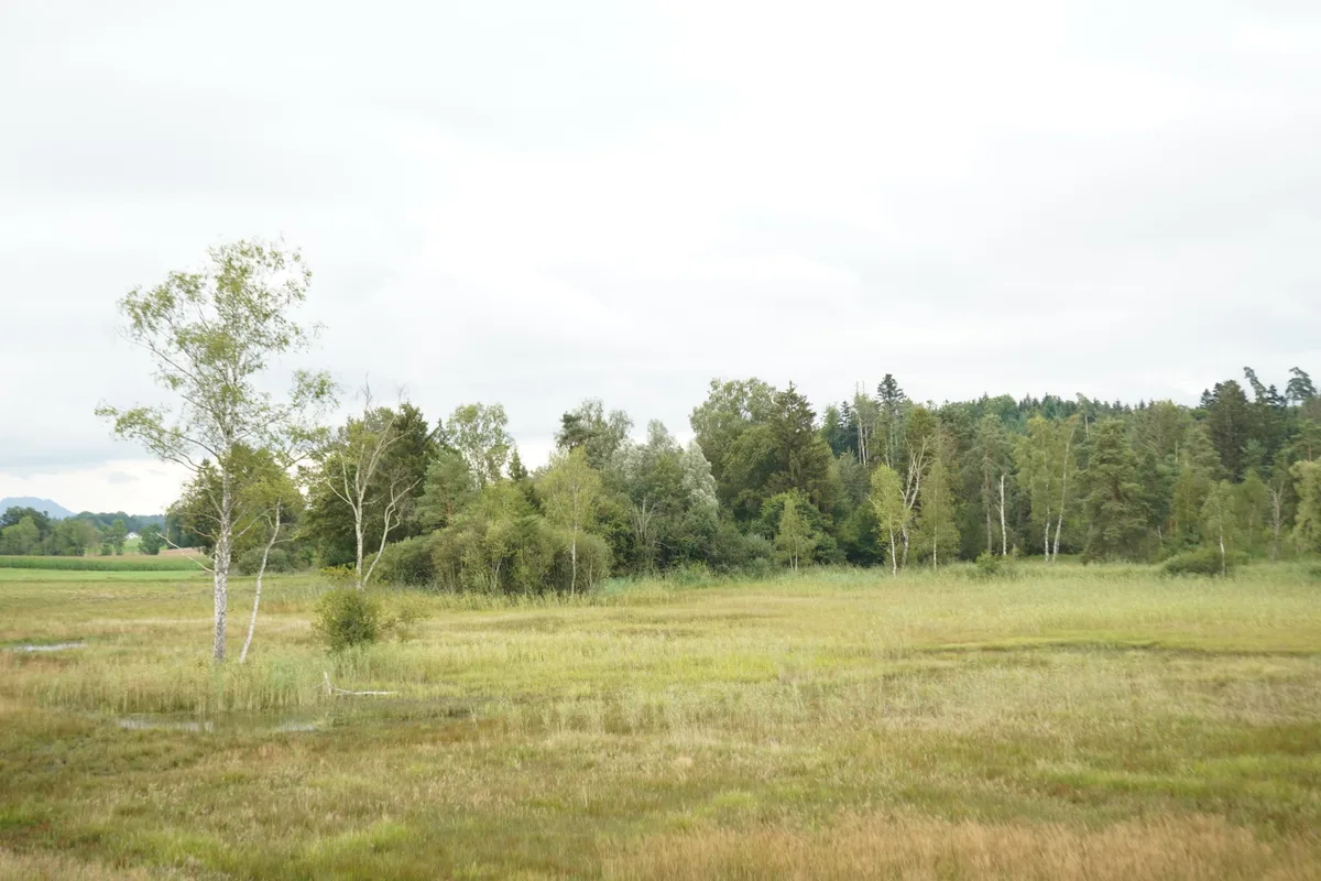 Naturschutzgebiet Wildert in Illnau-Effretikon.